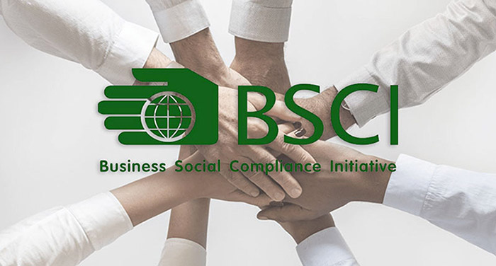 BSCI AUDIT CHECKLIST: HƯỚNG DẪN CHI TIẾT GIÚP DOANH NGHIỆP ĐẠT CHUẨN BSCI